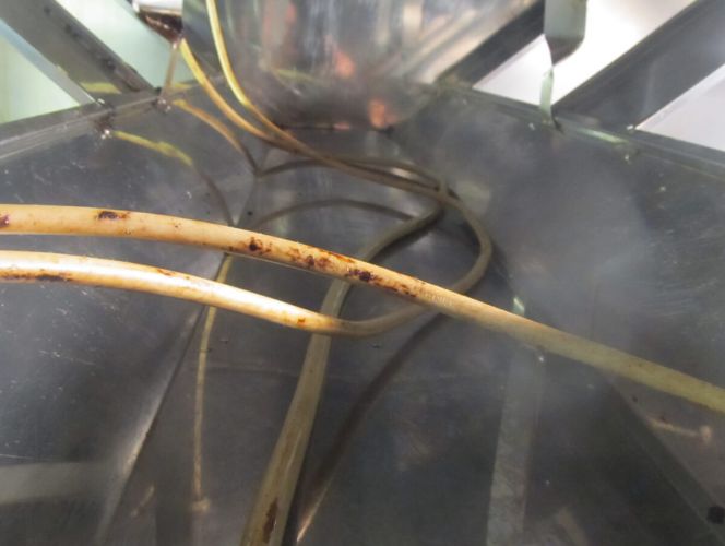 Gereinigter Fettkanal einer Großküche durch RWS