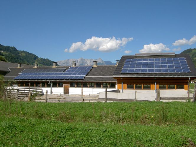 Photovoltaikanlage auf dem Dach eines Stallgebäudes